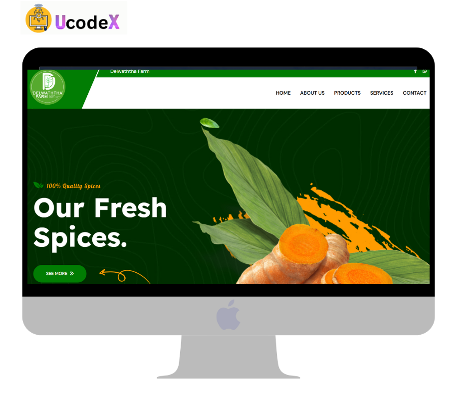 Web Development Project